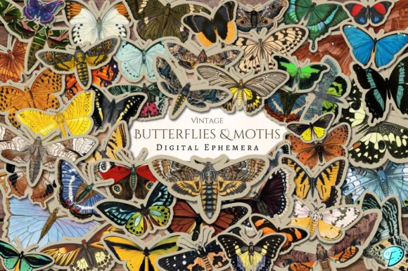 The Strategic Value of Vintage Butterflies and Moths Ephemera in Modern Digital Crafting